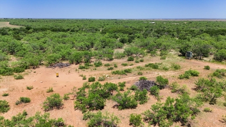 3 Guns Ranch - Exceptional 691-Acre High Fence Property - image 9