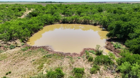 3 Guns Ranch - Exceptional 691-Acre High Fence Property - image 7