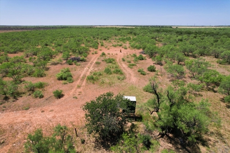 3 Guns Ranch - Exceptional 691-Acre High Fence Property - image 12