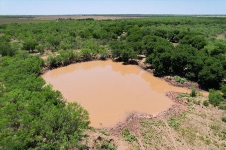 3 Guns Ranch - Exceptional 691-Acre High Fence Property - image 6