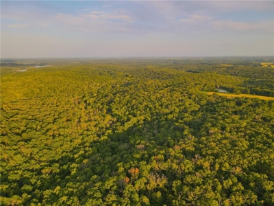 Land for sale Osceola MO - image 30