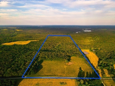 Land for sale Osceola MO - image 4