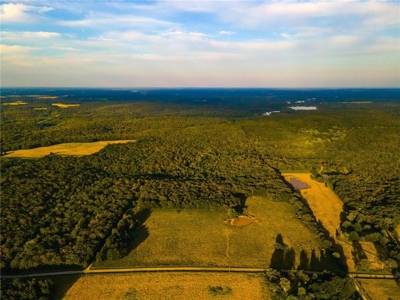 Land for sale Osceola MO - image 18