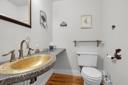 Suwannee Water Front Home For Sale - image 26
