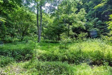 Land for Sale in Bristol VA - image 1
