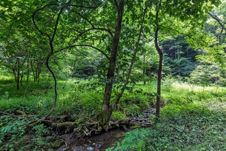 Land for Sale in Bristol VA - image 2