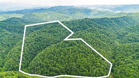 Land for Sale in Bristol VA - image 7