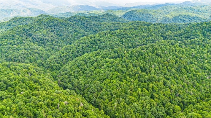 Building Lot for Sale in Bristol VA