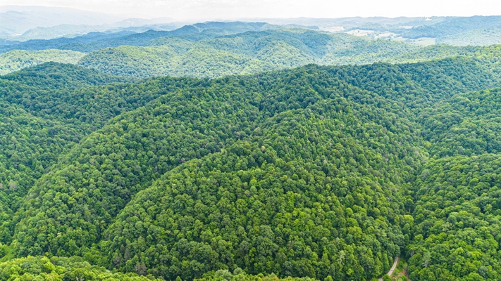 Building Lot for Sale in Bristol VA