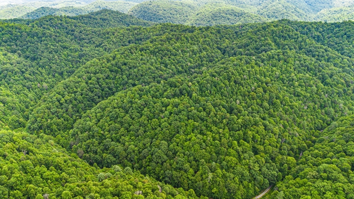 Building Lot for Sale in Bristol VA
