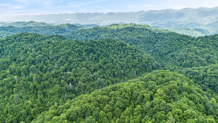 Building Lot for Sale in Bristol VA