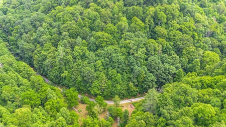 Land for Sale in Bristol VA - image 8
