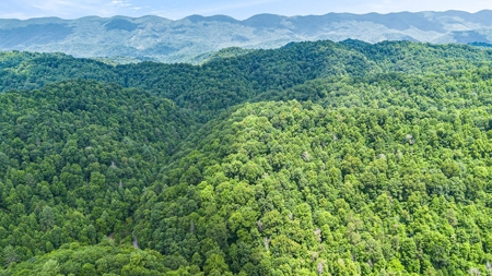 Land for Sale in Bristol VA - image 10