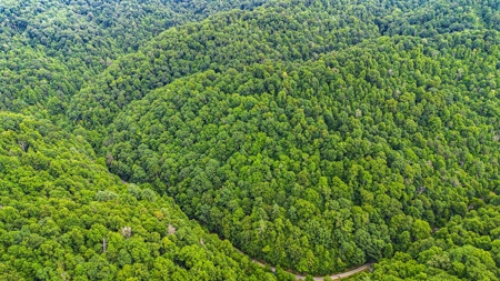 Land for Sale in Bristol VA - image 11