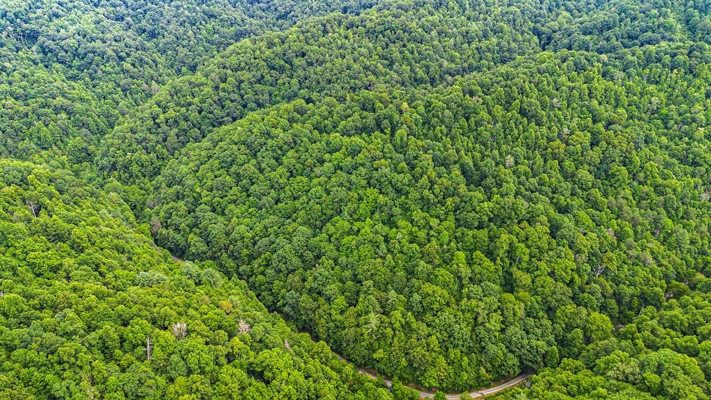 Building Lot for Sale in Bristol VA