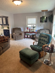 Small Town Living - image 16