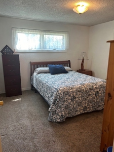 Small Town Living - image 23