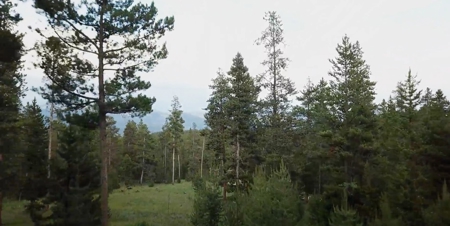 Colorado Mountain Property For Sale Accessing Skiing, etc. - image 6