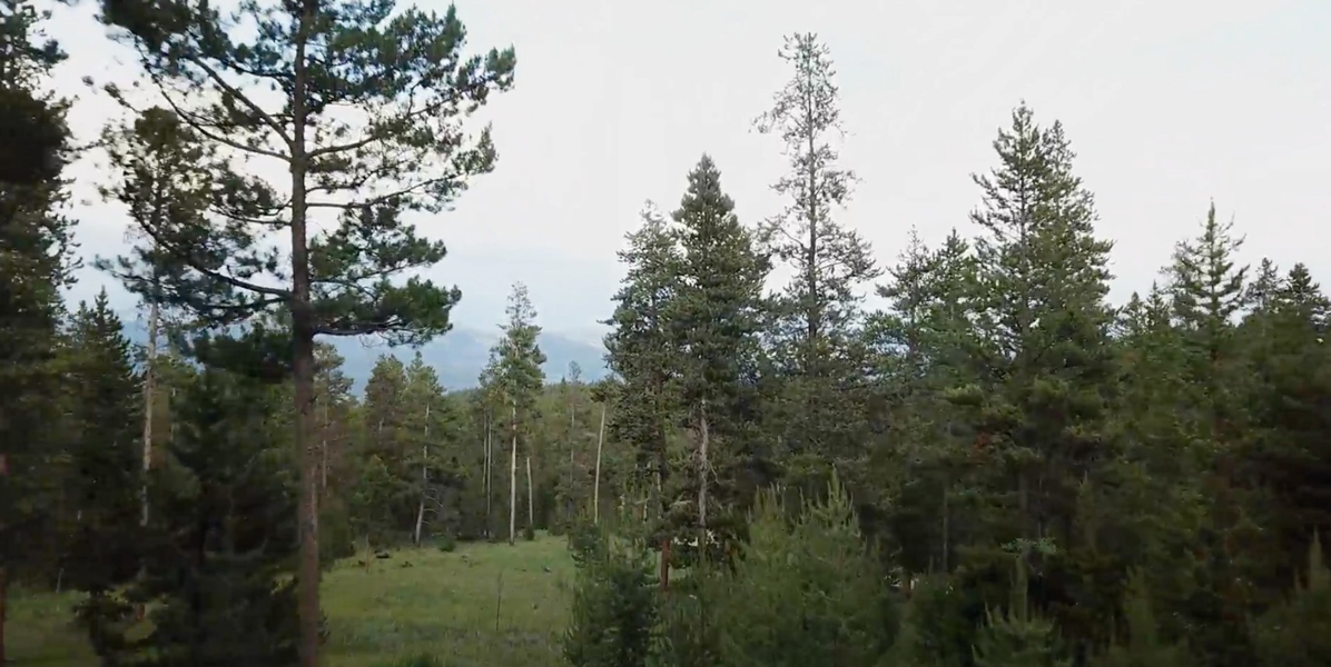 Land for Sale in Tabernash