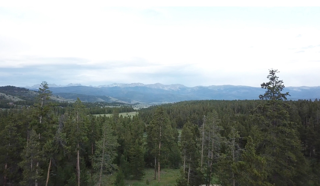 Land for Sale in Tabernash