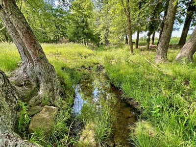 Vernon County Missouri Land for Sale - image 7