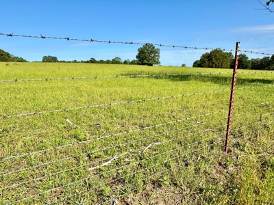 Vernon County Missouri Land for Sale - image 16