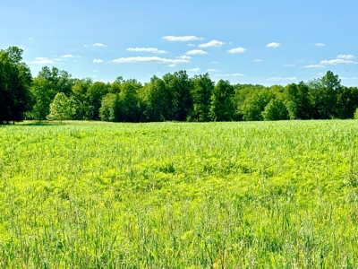 Vernon County Missouri Land for Sale - image 12