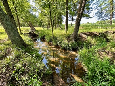 Vernon County Missouri Land for Sale - image 9