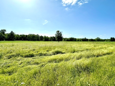 Vernon County Missouri Land for Sale - image 13