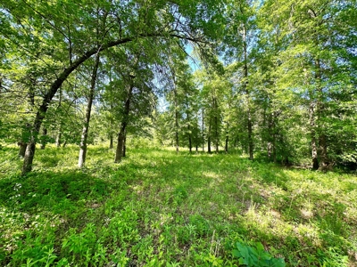 Vernon County Missouri Land for Sale - image 17