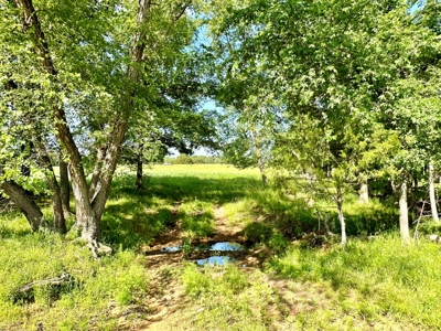 Vernon County Missouri Land for Sale - image 6