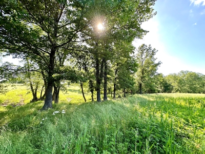 Vernon County Missouri Land for Sale - image 10