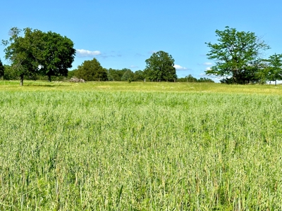 Vernon County Missouri Land for Sale - image 11