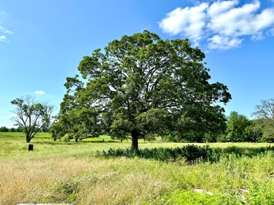 Vernon County Missouri Land for Sale - image 5
