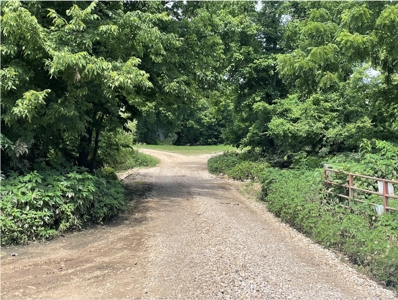 Lot For Sale Just Feet From Jacks Fork River In Eminence - image 8