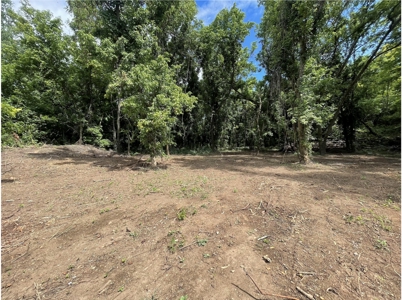 Lot For Sale Just Feet From Jacks Fork River In Eminence - image 1