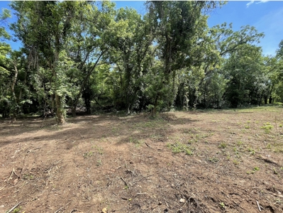 Lot For Sale Just Feet From Jacks Fork River In Eminence - image 2