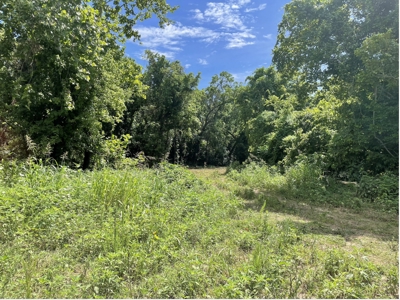 Lot For Sale Just Feet From Jacks Fork River In Eminence - image 6