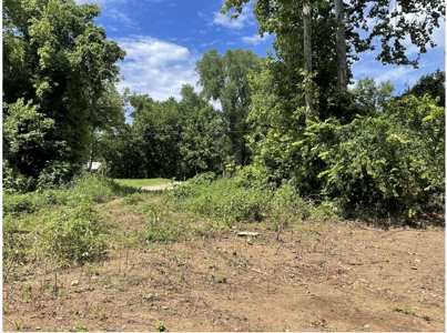 Lot For Sale Just Feet From Jacks Fork River In Eminence - image 5