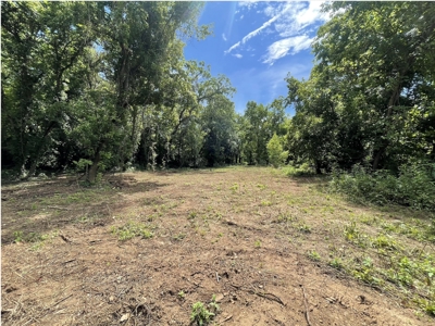 Lot For Sale Just Feet From Jacks Fork River In Eminence - image 3