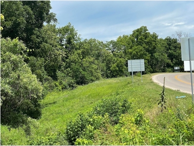 Lot For Sale Just Feet From Jacks Fork River In Eminence - image 9