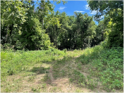 Lot For Sale Just Feet From Jacks Fork River In Eminence - image 7