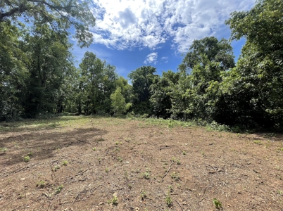 Lot For Sale Just Feet From Jacks Fork River In Eminence - image 4