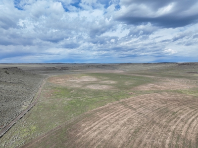 Eastern Oregon Dog Mountain Farm - image 7