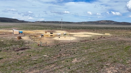 Eastern Oregon Dog Mountain Farm - image 20