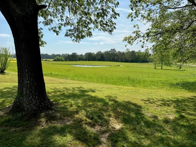 Home / Farm With Land, Pond, And Barn In Tennessee - image 6