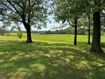 Home / Farm With Land, Pond, And Barn In Tennessee - image 4