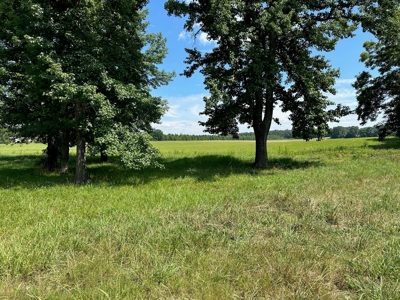 Home / Farm With Land, Pond, And Barn In Tennessee - image 49