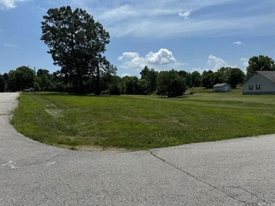 Land For Sale in Ash Flat, Arkansas - image 1