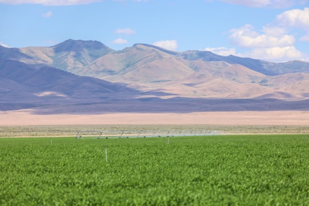 Eastern Oregon Running G Farm - image 24
